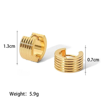 Qicel Earrings